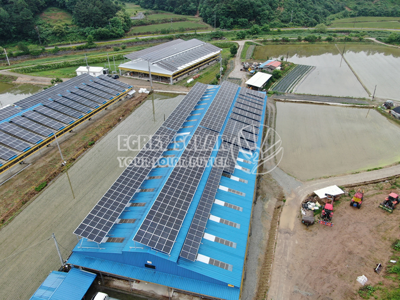 Cənubi Koreyada Günəş Enerjisi Bazarının Təhlili