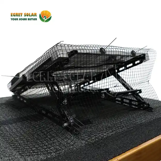 Niyə günəş quşlarının torları əsas müdafiə xəttidir?